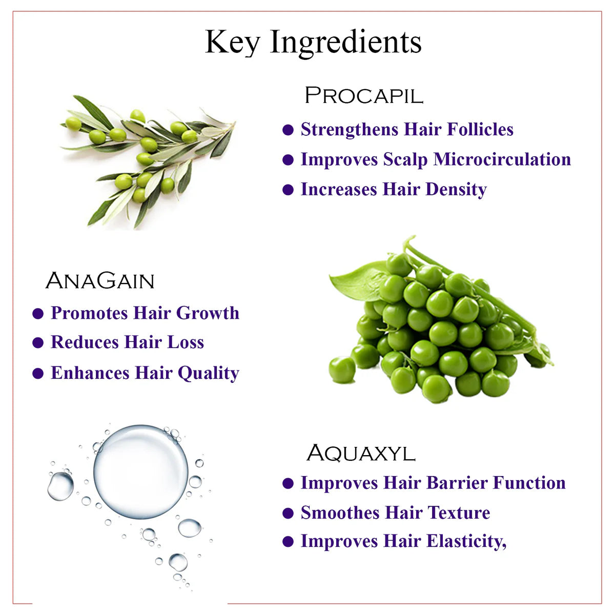 MOROCCAN ARGAN OIL HAIR CARE COMBO WITH HAIR PERFUME